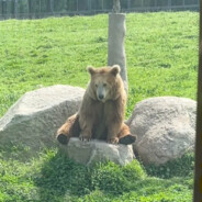 e你脸上接疾风亦有归途