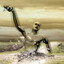 human clay's avatar