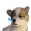 ookui-