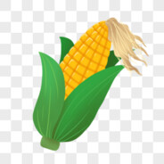 非常不爱电人的玉米