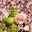 Handicapped_gamer46