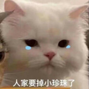 蟹堡王金牌厨师