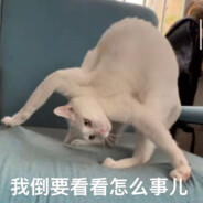 缺氧的鱼1