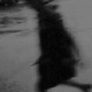 爱吃光头强的熊二