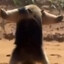 Stick