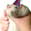 Russel_Jr
