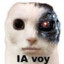 Igneo