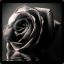 BlackRose