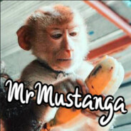 MrMustanga