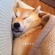 拨了儿盖卡土露皮了