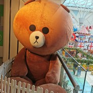 绫罗绸缎俏婵娟