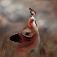 FoXy avatar