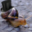 snail with hat