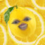 Queen_Limon