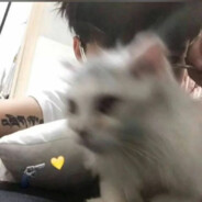 胡图图大闹翻斗花园