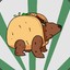 TacoBear