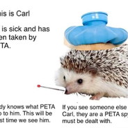 Carl the Hedgehog