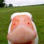 Allan AssEater 9000