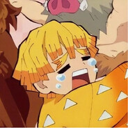 AAA宝可梦冻肉批发老智