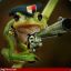 Flashfrog
