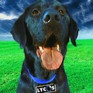 Lycos - steam id 76561197960285063