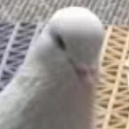 谁黑皮，谁肘击，谁在连累直升机