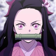 一路向北