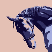 Kaloteeh - steam id 76561198340346542