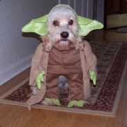 Dan K - steam id 76561197961140398