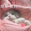 可爱咩