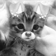 qnek0-_- - steam id 76561199710289010