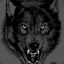 blackwolf