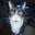 KittyKudler