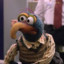 gonzo