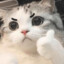 sw_u_ 2.0's avatar