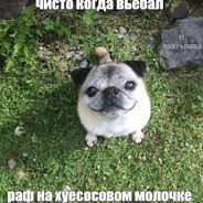 Вынужденная мера