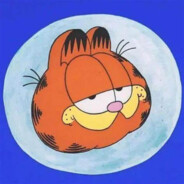 加菲猫的划水生活