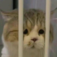 霓虹灯下的你我