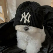 andrusha - steam id 76561199041363280