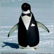 pwnguin