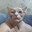 Gionny