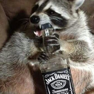 Pijaczyna