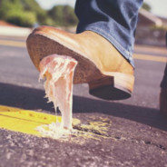 来去皆是自由风