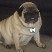 Fat greasy troglodyte