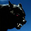 WOLF SPB