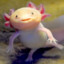 CRGHCK
