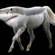 Ë€ðŸ‡¦a0ngaN