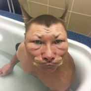 . avatar