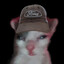 FriendlySkies25