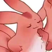 无人机、相片和我的少年